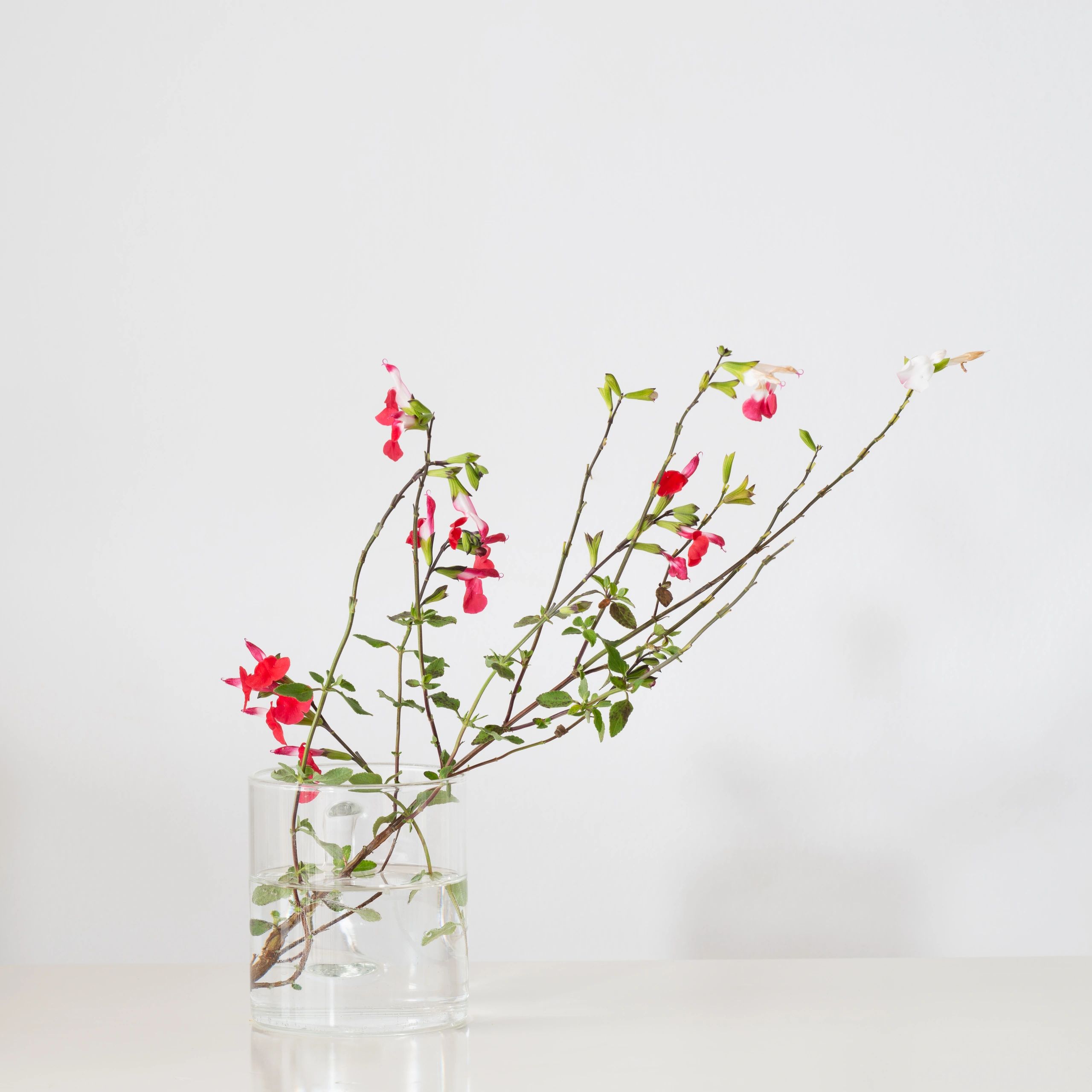 Simple wildflower arrangement against a white wall