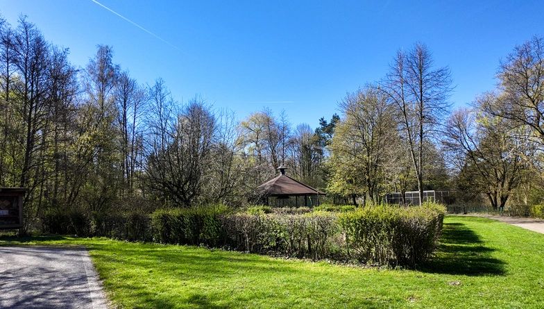 Gazebo in a peaceful park surrounded by spring greenery